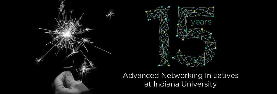 Networks AR 2013 banner image